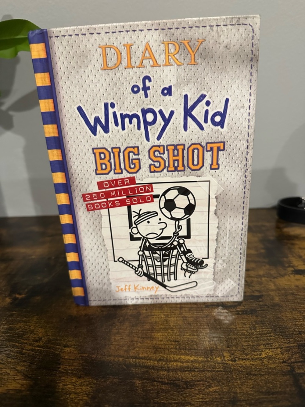 Diary of a Wimpy Kid: Big Shot -  Kids Book